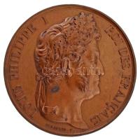 Franciaország 1846. "I. Lajos Fülöp" bronz emlékérem, hátoldalán menetes (csavarozható) rátéttel (55mm) T:XF, peremen lekoptatott ARG... ezüst fémjelzés, de az érem bronz France 1846. "Louis Philippe I" bronze medal, with threaded (screwable) inlay on the reverse (55mm) T:XF, worn ARG... silver hallmark at the edge, but the medal is bronze