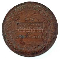 Schwartz István (1851-1924) 1885. "Országos Általános Kiállítás Budapesten 1885 / Czegő Klárána...