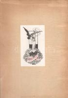 A magyar városok statisztikai évkönyve. Szerkesztette: Thirring Gusztáv. I. évfolyam.
(Budapest, 19...