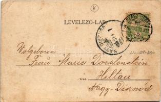 1905 Alsóidecs, Alsó-Idecs, Idecs, Eidisch, Ideciu de Jos; Salzbad-Nieder-Eidisch. Villa Kosch. Verl...