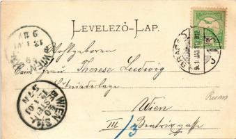 1901 Barcaság, Burzenland, Tara Barsei; Rosenauer Burg, Törzburg, Marienburg / Barcarozsnyó vára, Tö...