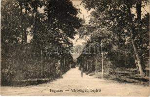 Fogaras, Fagaras; Városligeti bejáró. Fleissig Jakab és fia kiadása / park entrance (fl)