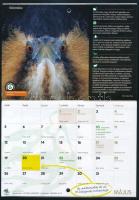 Magyar Madártani Egyesület 2025 évi falinaptára