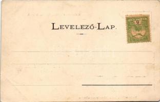 Tövis, Teius; Oroszlán szálloda, Gyulafehérvári főút a gyógypataki fahíddal, indóház, vasútállomás, ...