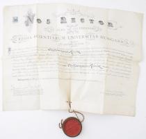 1910 Jogász diploma Grosschmid Béni (1852-1938) dékán, jogtudós aláírásával, függő viaszpecséttel