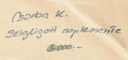 Csorba Kata (1948-): Szigligeti naplemente. Olaj, farost, jelezve jobbra lent, hátoldalán autográf f...