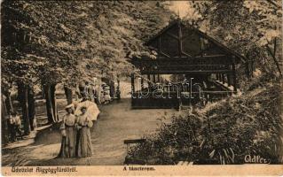 Feredőgyógy, Fürdőgyógy, Algyógyfürdő, Baile Geoagiu, Feredeu; A táncterem. Adler fényirda 1908. / dance hall (EK)