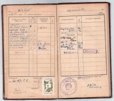 1953 Budapesti Műszaki Egyetem vegyészmérnöki kar fényképes leckekönyve Holló Judit részére, sok bej...