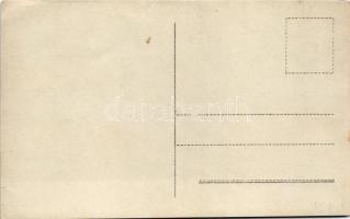 MÁV leselejtezett vagon (Lfr 85729) / scrapped wagon of the Hungarian State Railways. photo