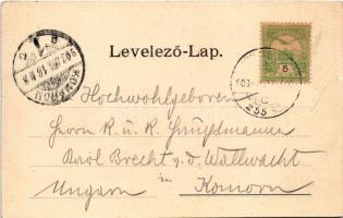 1903 Szászváros, Broos, Orastie; Marktgasse / Piac utca, üzletek. A. Schuller kiadása / market stree...