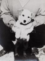 Doboznyi több száz darabos vegyes fotó tétel