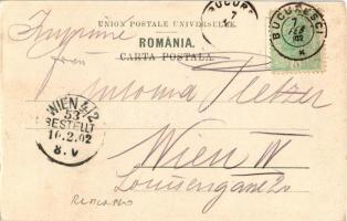 1902 Tigani Spoitori / Román bádogos cigányok / Romanian tinsmiths gypsy folklore