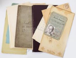 cc 1890-1950 Izraelita gyökerű család okmány hagyatéka, névváltoztatás, bizonyítványok, anyakönyvi k...