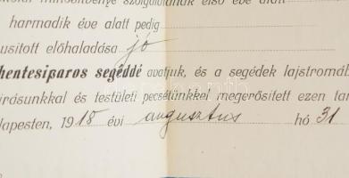 1918 A Budapesti Hentesipartestület tanoncbizonyítványa hentes tanonc részére
