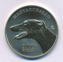 2021. 2000Ft Cu-Ni-Zn "Magyar Agár" kapszulában T:P