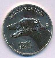 2021. 2000Ft Cu-Ni-Zn "Magyar Agár" kapszulában T:P