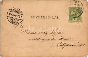 1904 Segesvár, Schässburg, Sighisoara; Scariatin Monument, Stundthurm, Türmchen auf der Steilau / Sk...