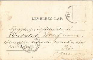 1905 Gyulafehérvár, Alba Iulia; templom bejárat / Seitenportal. Schäser Ferenc kiadása / church entr...