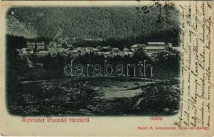 1900 Tusnádfürdő, Baile Tusnad; látkép, tó. Benkő M. kiadása / view, lake (EK)