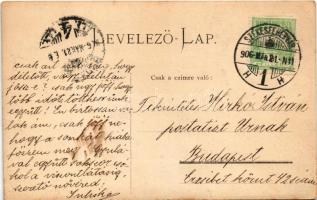 1906 Seregélyes, Gróf Hadik kastély. photo