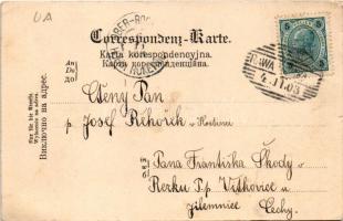 1903 Rava-Ruska, Rawa Ruska; Pozdrowienie z Rawij ruskiej / Kath. Kirche, Ringplatz u. Rathaus, Kase...