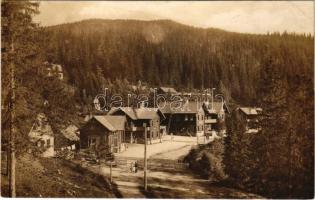 Szebenjuharos, Hohe Rinne, Paltinis (Nagyszeben, Sibiu); Casa de cura. S. C. a T. Sectia Sibiu. Foto orig. E.J. Fischer / gyógyház / Kurhaus