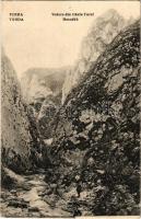 1923 Torda, Turda; Tordai-hasadék / Cheile Turzii. Librarie Poporala / gorge (tűnyom / pin mark)