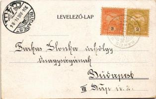 1904 Budapest XVI. Rákosszentmihály, Mrs. Újváry-féle fürdőtelep (EK)