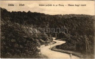 1924 Zilah, Zalau; Meszes-hegyi részlet. Seres Samu kiadása / Vedere partiala de pe Meses / road in the mountain (EK)