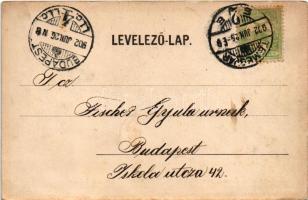 1902 Temesvár, Timisoara; Józsefváros, Kossuth Lajos utca, Takarékpénztár, üzletek. H. P. Günther ut...