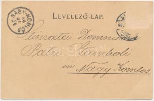 1899 (Vorläufer) Lugos, Lugoj; Amigo kávéház, Megyeháza, Király utca, üzletek, Szeszgyár, Görögkatol...