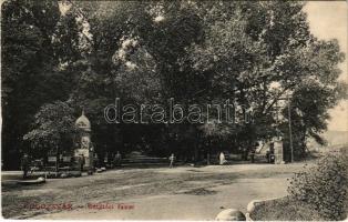 1910 Kolozsvár, Cluj; Sétatéri fasor. Lepage Lajos kiadása / promenade, park (EK)