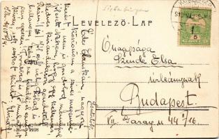 1910 Kolozsvár, Cluj; Sétatéri fasor. Lepage Lajos kiadása / promenade, park (EK)