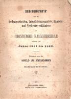 Bericht über die Bodenproduction, Industrieerzeugnisse, Handels- und Verkehrverhältnisse im Oedenbur...