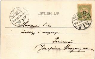 1903 Kolozsvár, Cluj; Központi egyetem. Schuster Emil kiadása / university