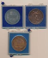 Vegyes 3db-os kétoldalas bronz és ezüstpatinázott bronz, főleg MÉE emlékérem-tétel plombált ÁPV tokb...