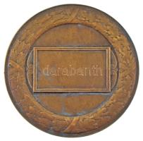 Ligeti Miklós (1871-1944) 1931. "Pesti Magyar Kereskedelmi Bank T.S.E. - 1911-1931" bronz ...