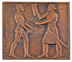 Beck Ötvös Fülöp (1873-1945) 1932. "Balatoni Versenyek" öntött bronz sportplakett (59x68mm) T:AU kis patina