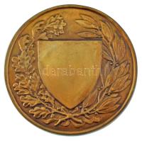 Berán Lajos (1882-1943) ~1930. "Országos Testnevelési Tanács" bronz emlékérem (59mm) T:AU
...