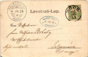 1902 Mór, Moór; kastély. Art Nouveau, floral (EK)