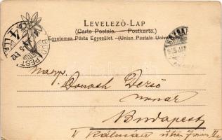 1905 Rózsahegy, Liptó-Rózsahegy, Ruzomberok; Feitzinger Ede 802. L. 1904/15. (EK)