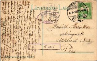 1908 Szenc, Szempcz, Senec; Molnár Albert utca. Jungkönig József kiadása / street (EK)