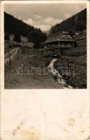 1953 Felsőszinevér, Szinevérpolyána, Szinevirszka Poljana, Synevyrska Polyana; Felsőszinevéri völgy. Krizsán Endre felvétele / valley, chalet, mountain (fl)