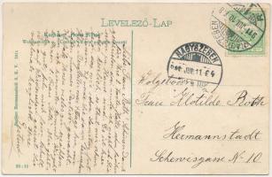 1911 Szebenjuharos, Hohe Rinne, Paltinis; Kurhaus Hohe Rinne, Wohnpavillon u. Conradt-Warte auf dem ...