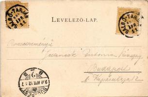 1900 Salgótarján, Acélgyári kaszinó, bányaigazgatóság. Friedler Armin kiadása, Art Nouveau, floral (...