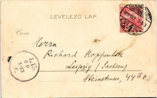 1905 Budapest II. Császár fürdő, belső. Kosmos Art Nouveau, floral, litho (EK)