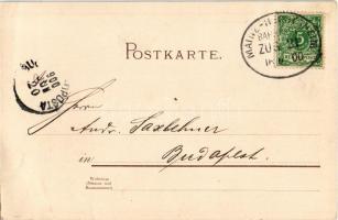 1900 Budapest XI. Saxlehner András Hunyadi János keserűvíz üzeme, gyár, reklám. Bruchsteiner és fia ...