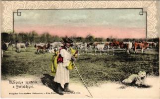 Hortobágy, Ökörgulya legeltetés, magyar folklór. Pongrácz Géza kiadása, Kiss Ferenc eredeti fényképe után