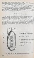 Szathmári Imre alez. et al: Tankönyv az aknakutató-tűzszerész alegységek kiképzéséhez. Szolgálati ha...