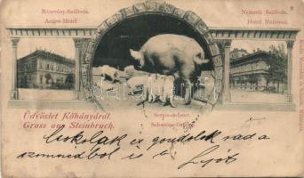 1899 Budapest X. Kőbánya Részvény Szálloda, Nemzeti Szálloda és sertés csoport